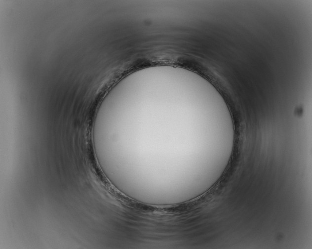 X0000116100641200911230933