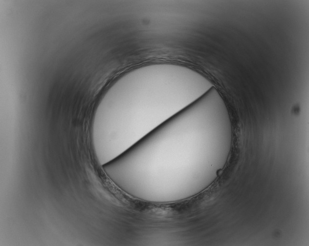 X0000116100642200911230933
