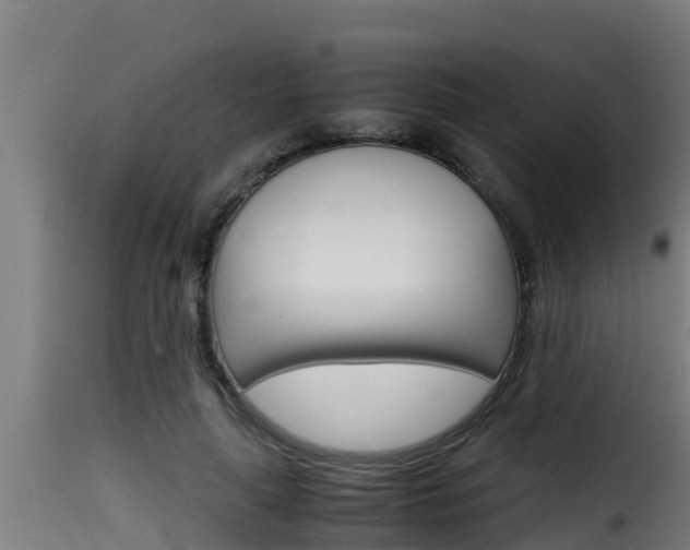 X0000116100643200911230933