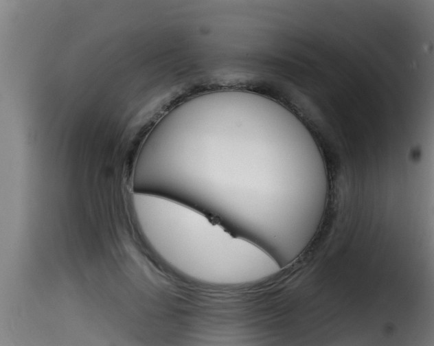 X0000116100644200911230933