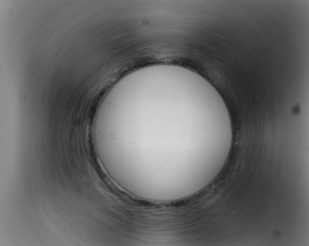 X0000116100646200911230933