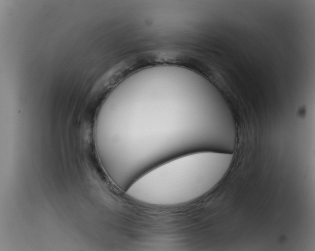 X0000116100648200911230933