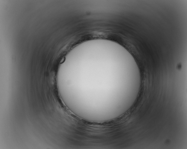 X0000116100649200911230933