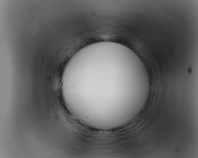 X0000116100651200911230933