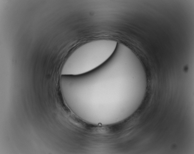 X0000116100652200911230933