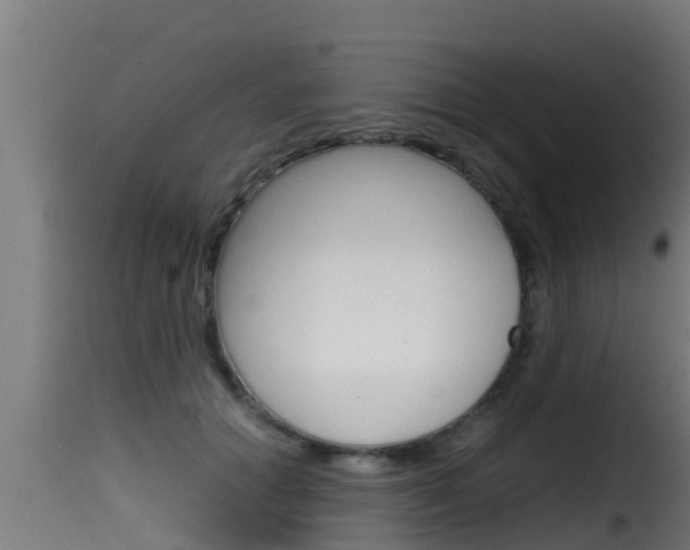 X0000116100654200911230933