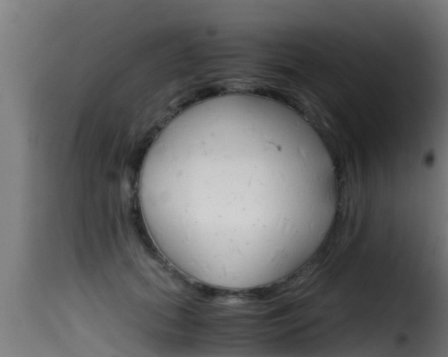 X0000116100655200911230933