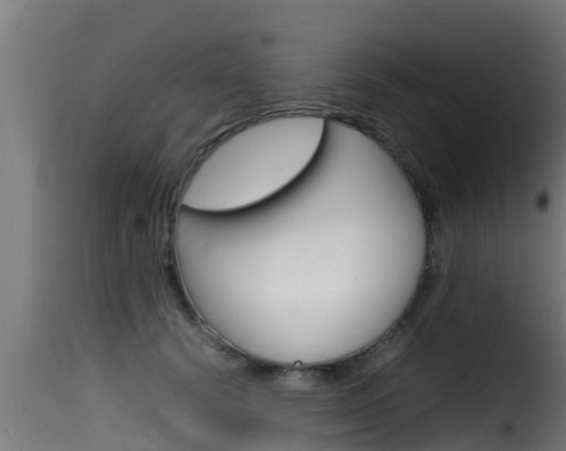 X0000116100656200911230933