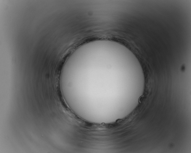X0000116100658200911230933