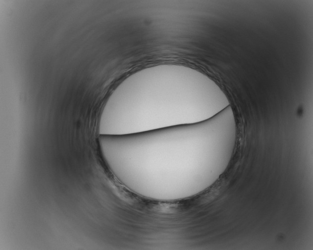 X0000116100664200911230933