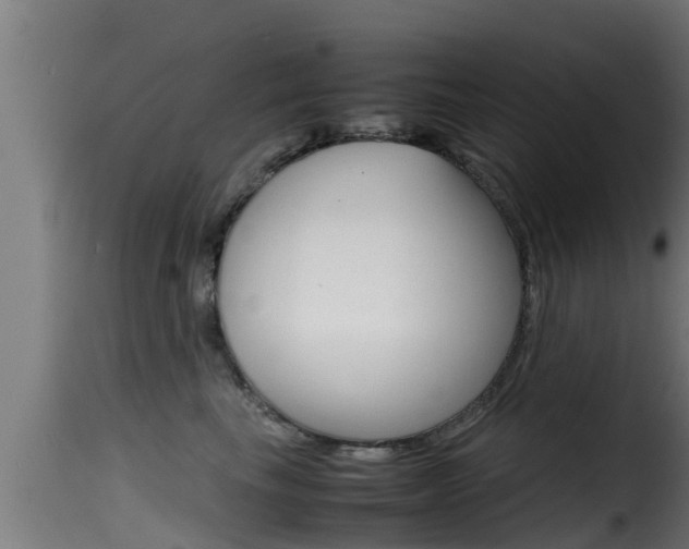 X0000116100665200911230933