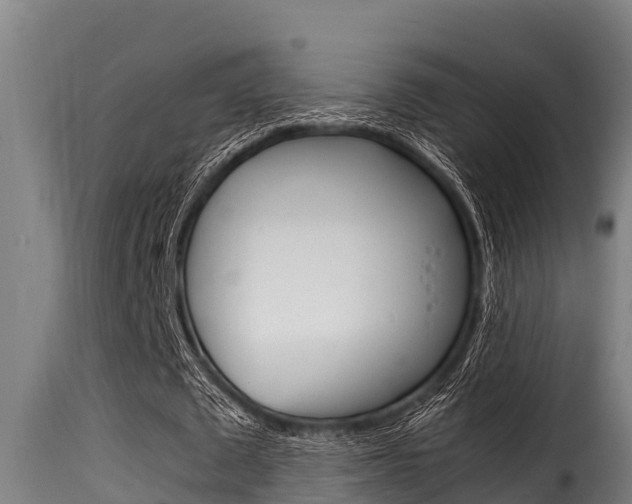 X0000116100673200911230932