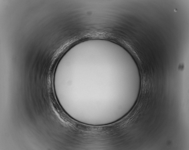X0000116100674200911230932