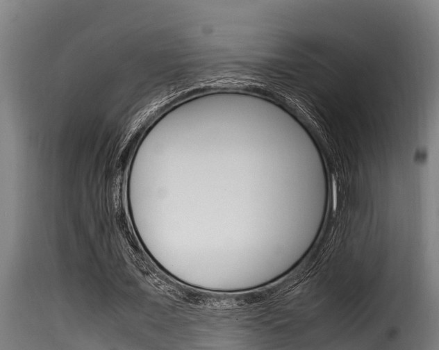 X0000116100675200911230932