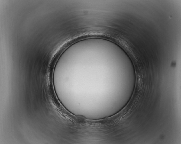 X0000116100676200911230932