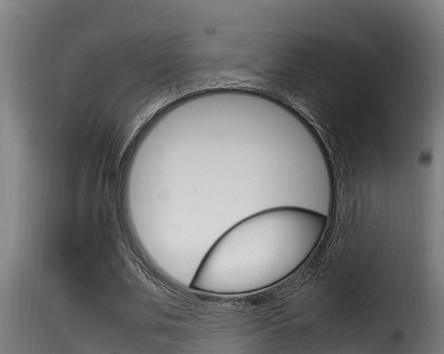 X0000116100679200911230932
