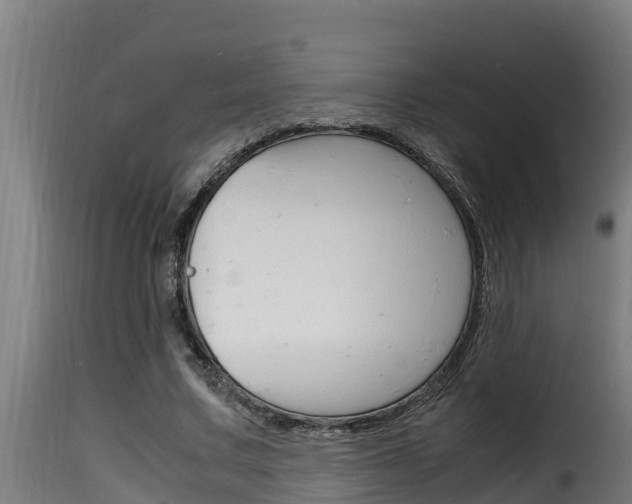 X0000116100683200911230932