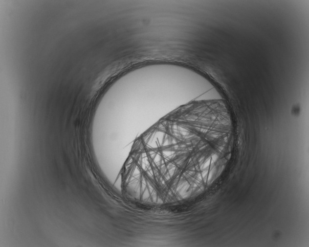 X0000116100685200911230932