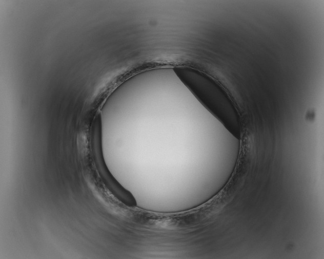 X0000116100688200911230932