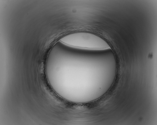 X0000116100689200911230932