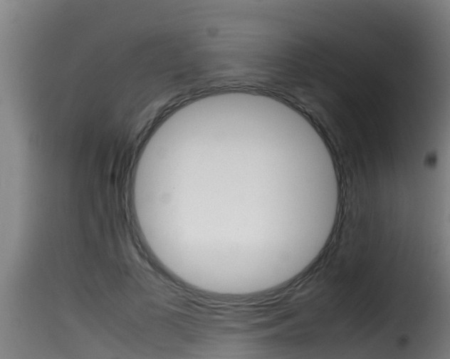 X0000116100693200911230932