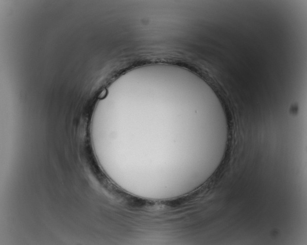 X0000116100695200911230932