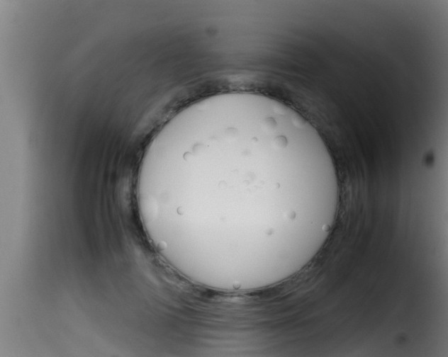 X0000116100698200911230932
