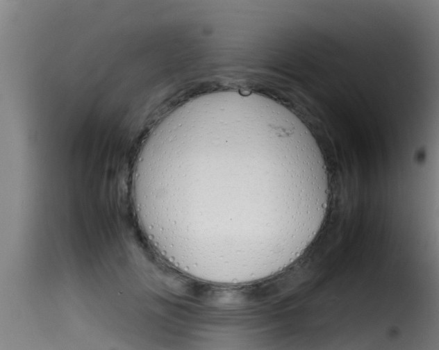 X0000116100702200911230932
