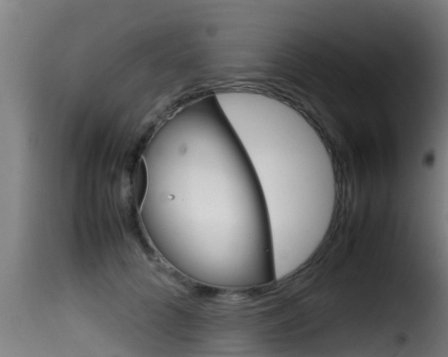X0000116100704200911230932