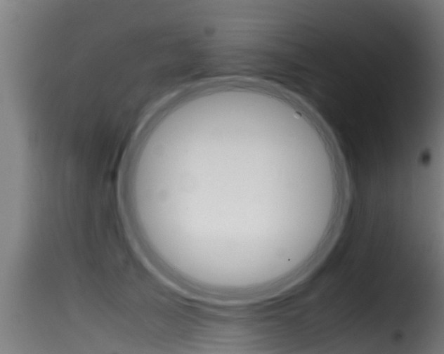 X0000116100705200911230932