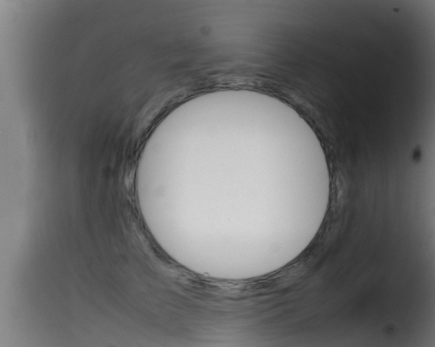 X0000116100709200911230932