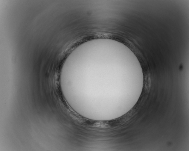 X0000116100714200911230932