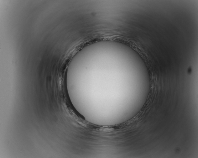 X0000116100716200911230932