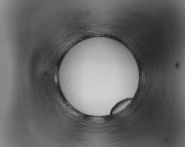 X0000116100719200911230932