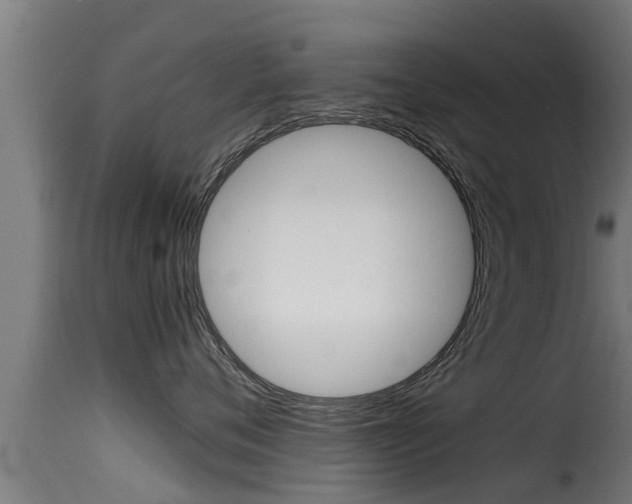 X0000116100720200911230932