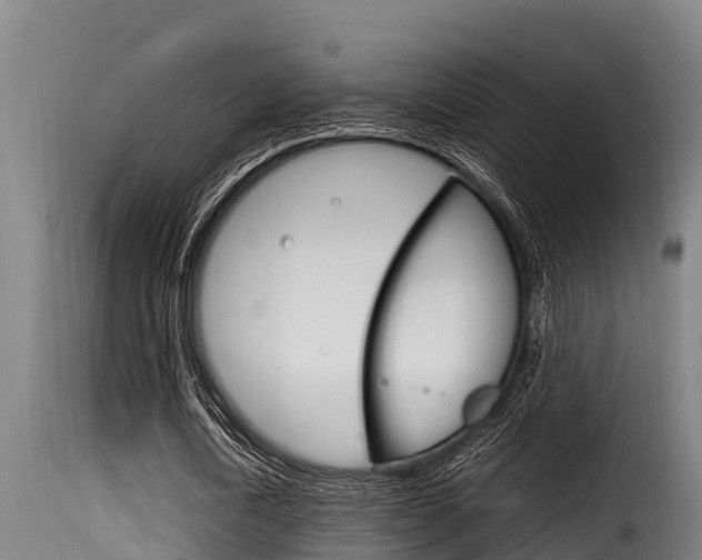 X0000116100722200911230931