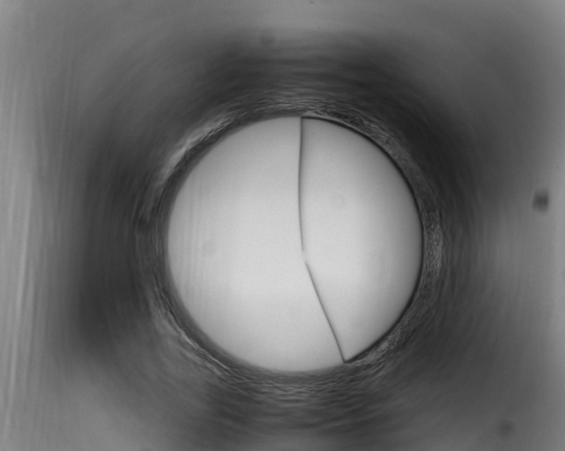 X0000116100731200911230931