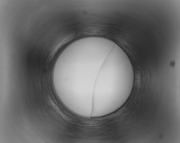 X0000116100735200911230931