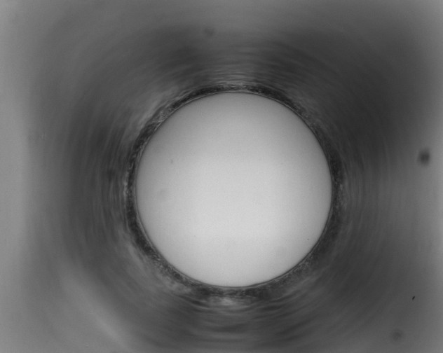 X0000116100739200911230931
