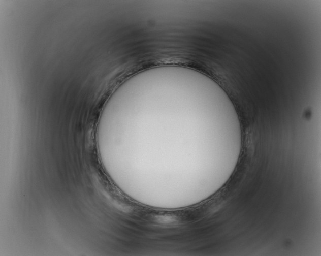 X0000116100741200911230931
