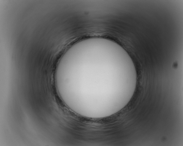 X0000116100743200911230931