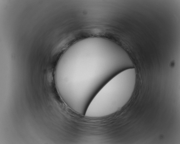 X0000116100746200911230931