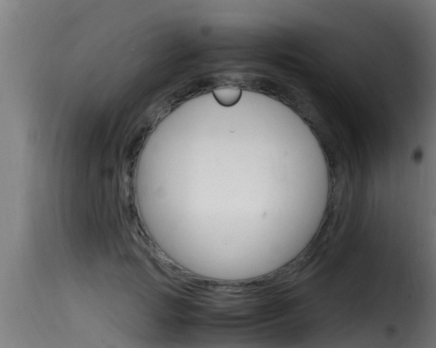 X0000116100749200911230931