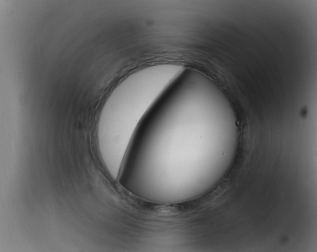 X0000116100750200911230931