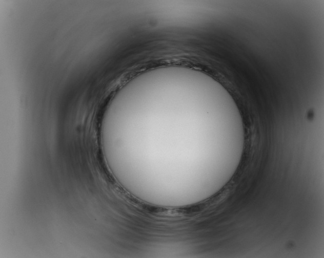 X0000116100754200911230931