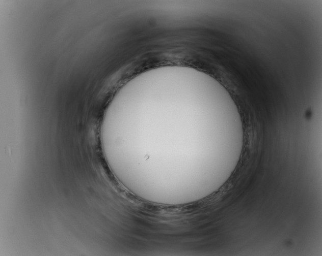 X0000116100757200911230931