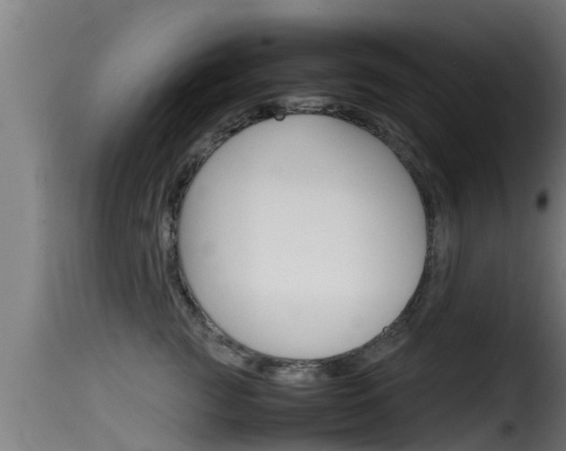 X0000116100761200911230932