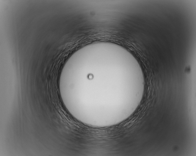 X0000116100769200911230931