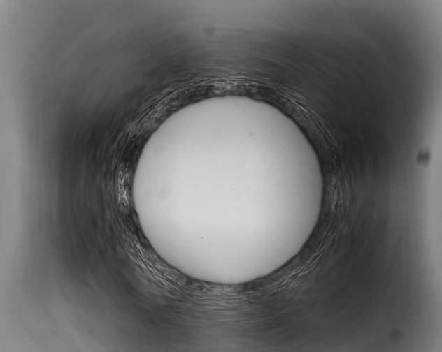 X0000116100770200911230931