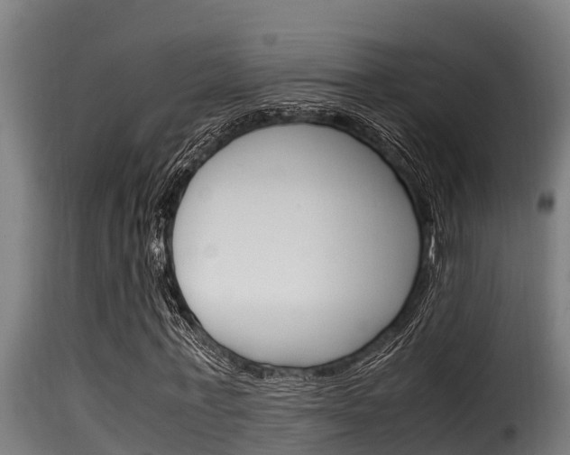 X0000116100771200911230931